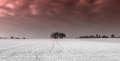 a snow filled field