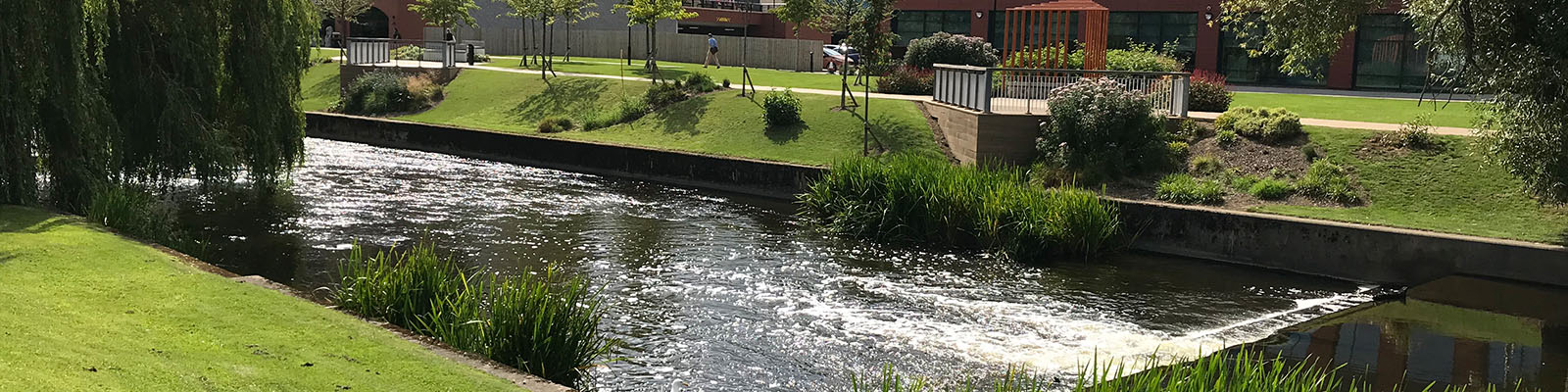 a view of the river Skerne